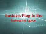 Business Plug-In B10 PowerPoint Presentation