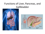 Functions of Liver, Pancreas, and Gallbladder