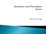 sensationandperception_PP_Vision_Mods 18 and 19