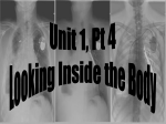 Unit 1 Part IV Notes