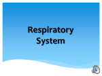 Respiratory System