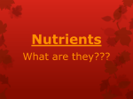 Nutrients - OnCourse