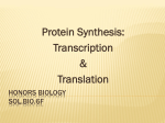 Protein Synthesis - MsJacksonsBiologyWiki