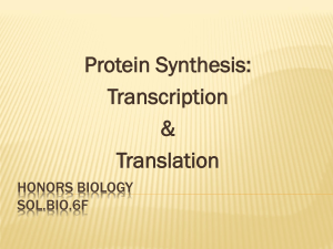 Protein Synthesis - MsJacksonsBiologyWiki