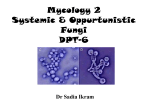 Mycology 2 DPT-6