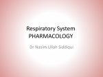 Respiratory System