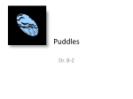 Puddles