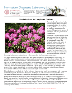 Rhododendrons for Long Island Gardens