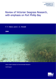 Seagrass Literature Review - Department of Environment, Land