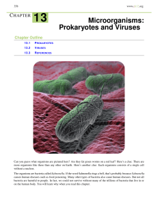 13 Microorganisms: Prokaryotes and Viruses