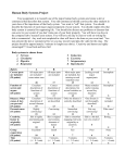 Human Body Systems Project and Rubric