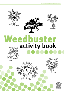 Weedbuster activity book