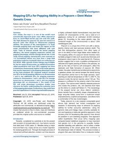 Mapping QTLs for Popping Ability in a Popcorn × Dent Maize