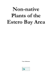 Non-native Plants of the Estero Bay Area