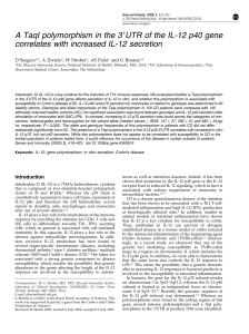 A TaqI polymorphism in the 3 UTR of the IL-12