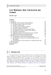 Clay Minerals, Deep Circulation and Climate