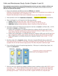 Cells and Membranes Study Guide (Chapter 4 and 5)