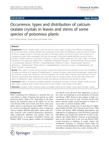 Occurrence, types and distribution of calcium oxalate crystals in