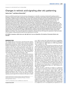 Changes in retinoic acid signaling alter otic patterning