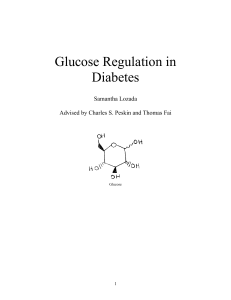 Glucose Regulation in Diabetes