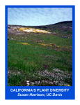 CALIFORNIA`S PLANT DIVERSITY Susan Harrison, UC Davis