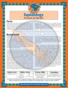 Squidology for Pdfing - Louisiana Marine Education Resources