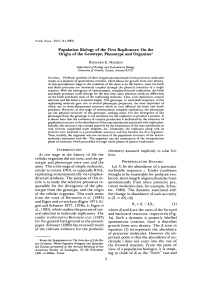 Population Biology of the First Replicators: On