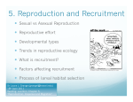 5. Reproduction and Recruitment