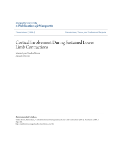 Cortical Involvement During Sustained Lower Limb Contractions