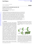 Growth of curved and helical bacterial cells