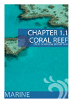 chapter 1.1 coral reef marine