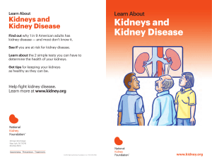 Kidneys and Kidney Disease - National Kidney Foundation