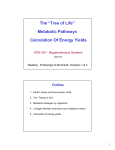 The “Tree of Life” Metabolic Pathways Calculation Of Energy Yields