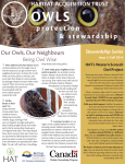 Owls - Habitat Acquisition Trust