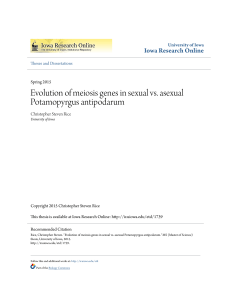 Evolution of meiosis genes in sexual vs. asexual Potamopyrgus