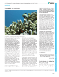 Damselfish are coral fans - Journal of Experimental Biology