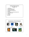 Cellular Reproduction Chapter 10