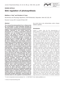 Sink regulation of photosynthesis