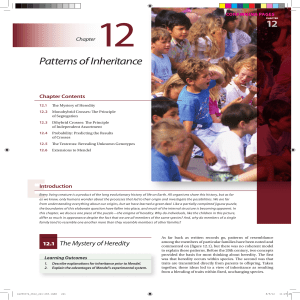 Chapter 12 Patterns of Inheritance