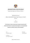 università degli studi del molise