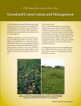 Grassland Conservation and Management