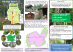 Flyer for Ewe Remnant Forest