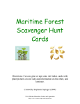 Maritime Forest Scavenger Hunt Cards