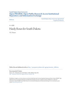 Hardy Roses for South Dakota (1929)