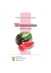 PG watermelon