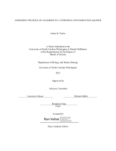 Assessing the role of anammox in a nitrogen contaminated aquifer