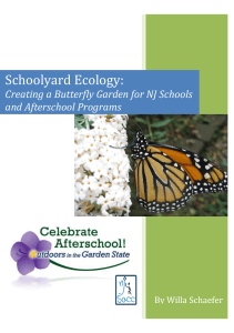 Creating a Butterfly Garden for NJ Schools