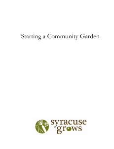 Starting a Community Garden