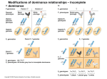 Modifications of dominance relationships – Incomplete dominance