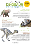 Erth`s Dinosaur fact sheet trex
